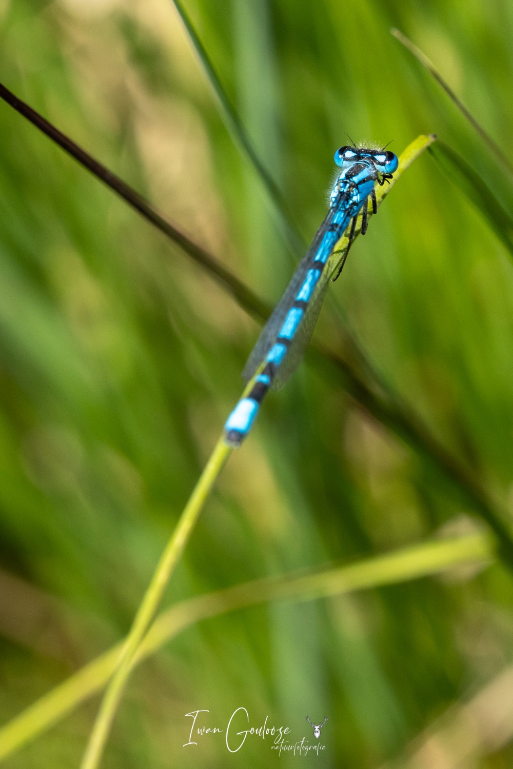 16 juni 2023 170930  R2A6203